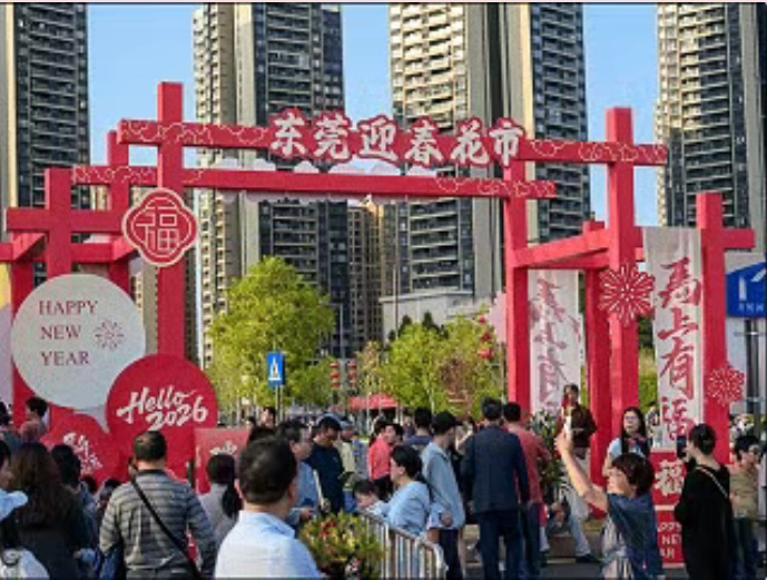 案例图片